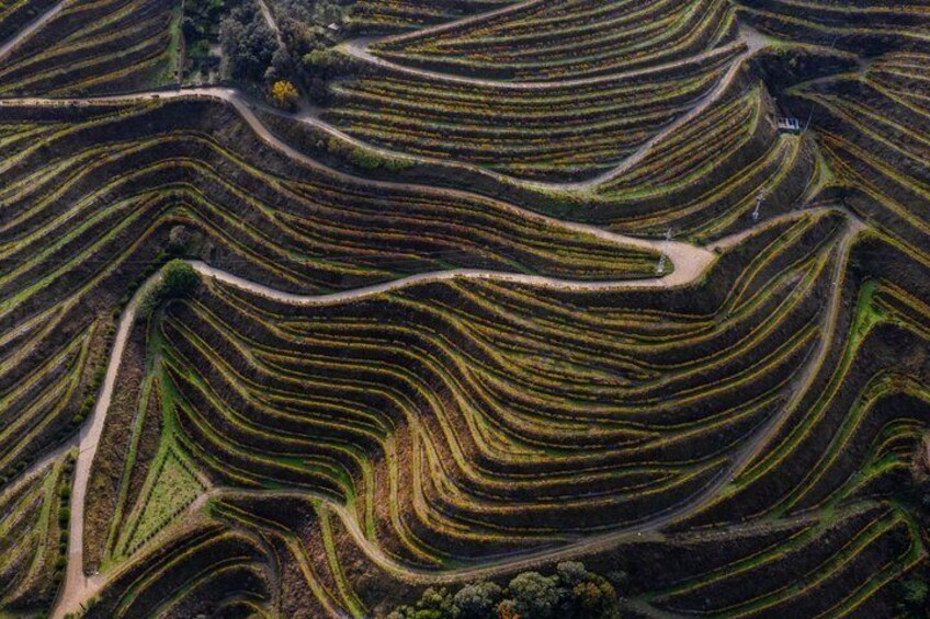 Terraced agricultural fields with winding paths. 2