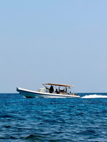 Picture 32 for Activity Otranto boat tour: sea, caves, and snorkeling 4