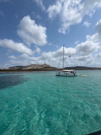 Picture 13 for Activity Asinara & La Pelosa Tours: Half-Day Zodiac Boat Ride with Aperitif 3