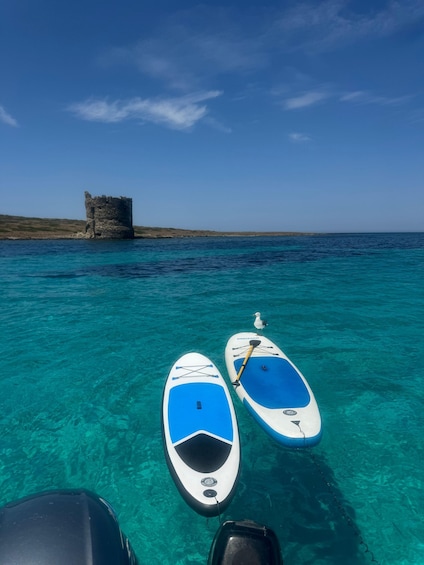 Picture 12 for Activity Asinara & La Pelosa Tours: Half-Day Zodiac Boat Ride with Aperitif 2