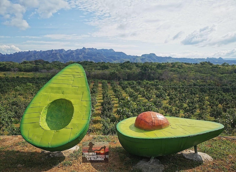 Two large avocado sculptures in a natural landscape with mountains in the background. 1