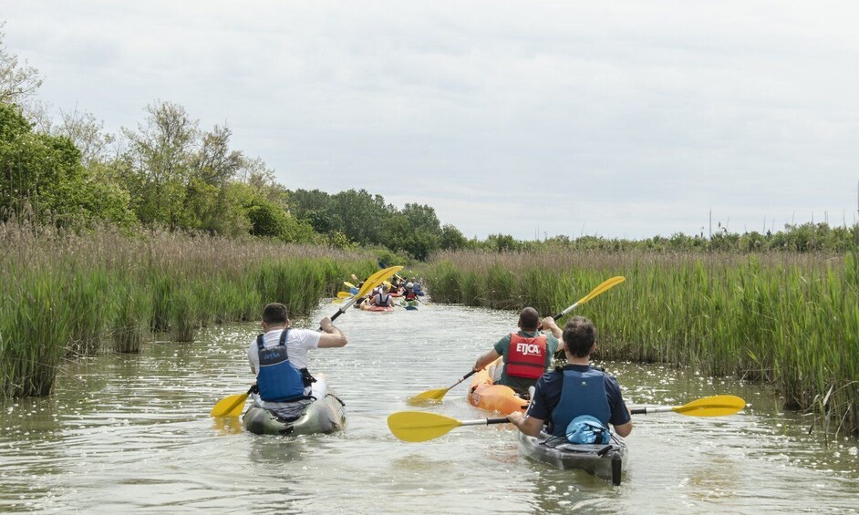 Caorle: Guided Kayak Tour 1