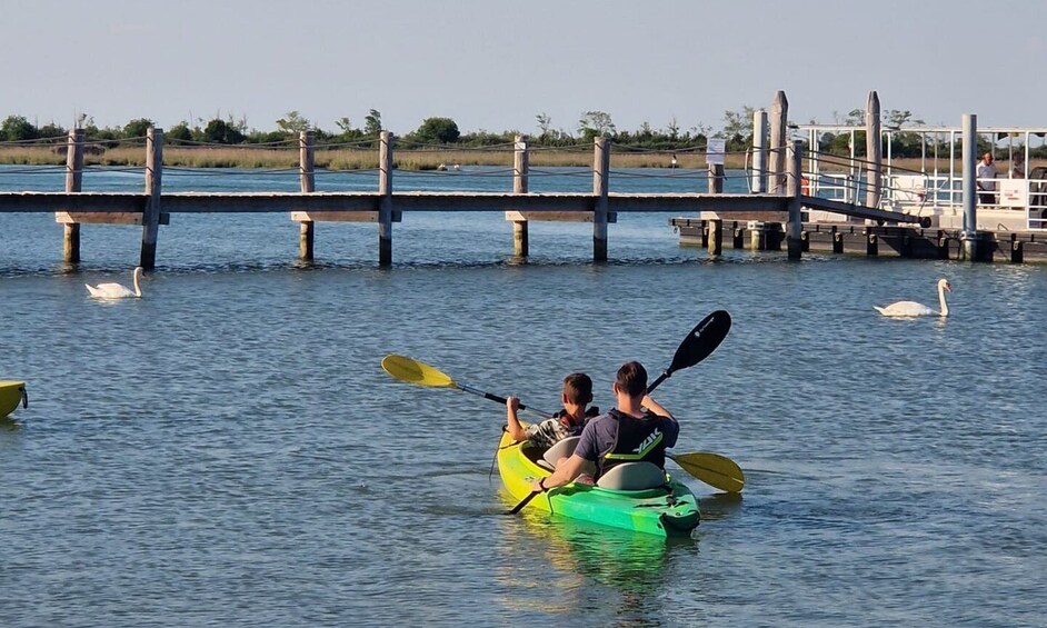 Picture 3 for Activity Caorle: Guided Kayak Tour 3