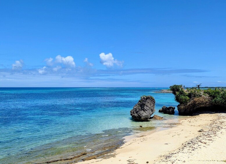 A clear blue sea, a sandy beach, and rocky outcrops with vegetation. 2
