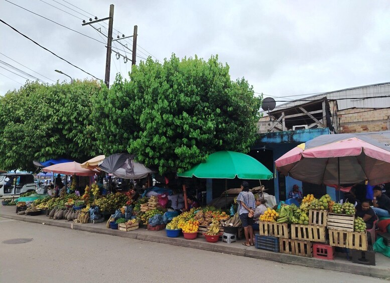 A street market with vendors selling fruits under colorful umbrellas. 4