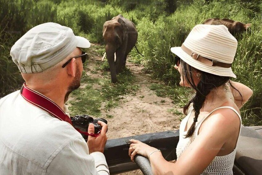 A person taking a photo of an elephant in a natural setting. 1