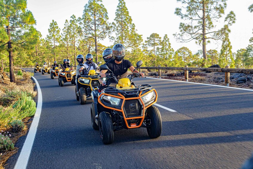 A convoy of quad bikes on a paved road surrounded by pine trees. 1