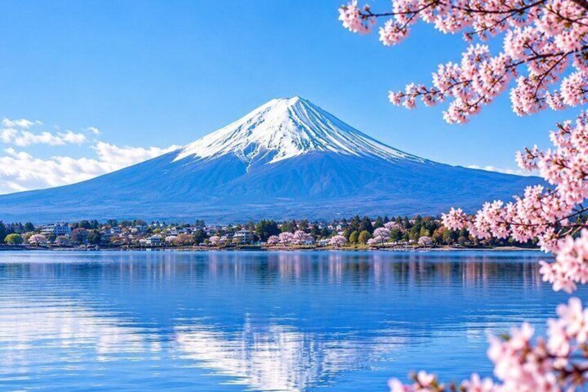 Private Tour To Mount Fuji from Tokyo - A Majestic Experience 4