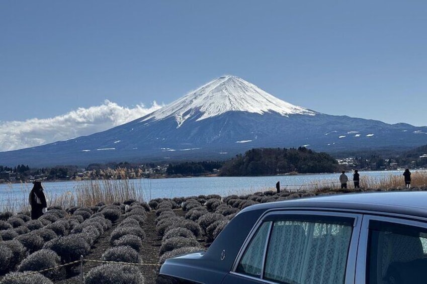 A snow-capped mountain, a body of water, and a parked car with people in the background. 5