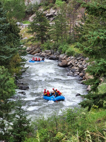 A group of people rafting down a river surrounded by dense forest and rocky terrain. 5