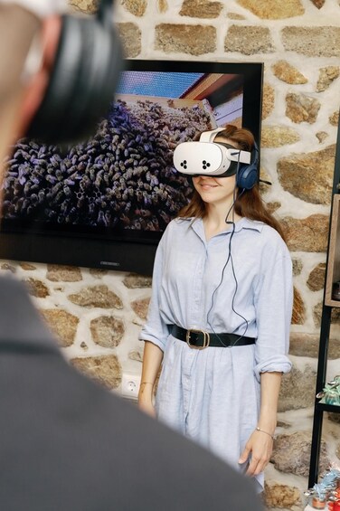 A person wearing a VR headset in front of a TV displaying a bee colony. 3