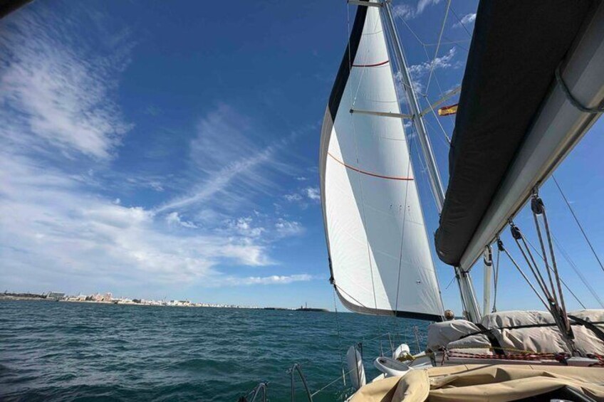A sailboat with white sails on calm waters, a clear sky, and a distant shoreline with buildings. 5