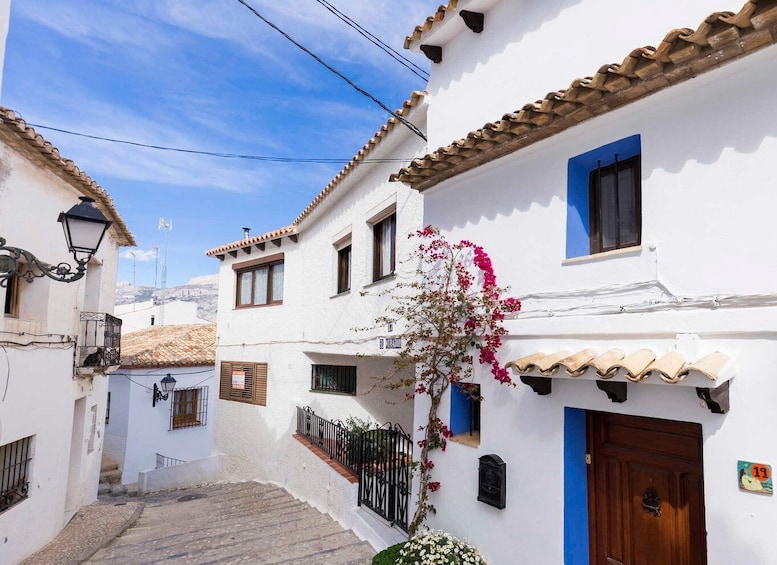 A narrow street with white buildings, blue doors, and a red flowering plant. 4