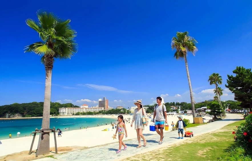 A sunny beach with palm trees, a clear blue sky, and a sandy walkway. 2