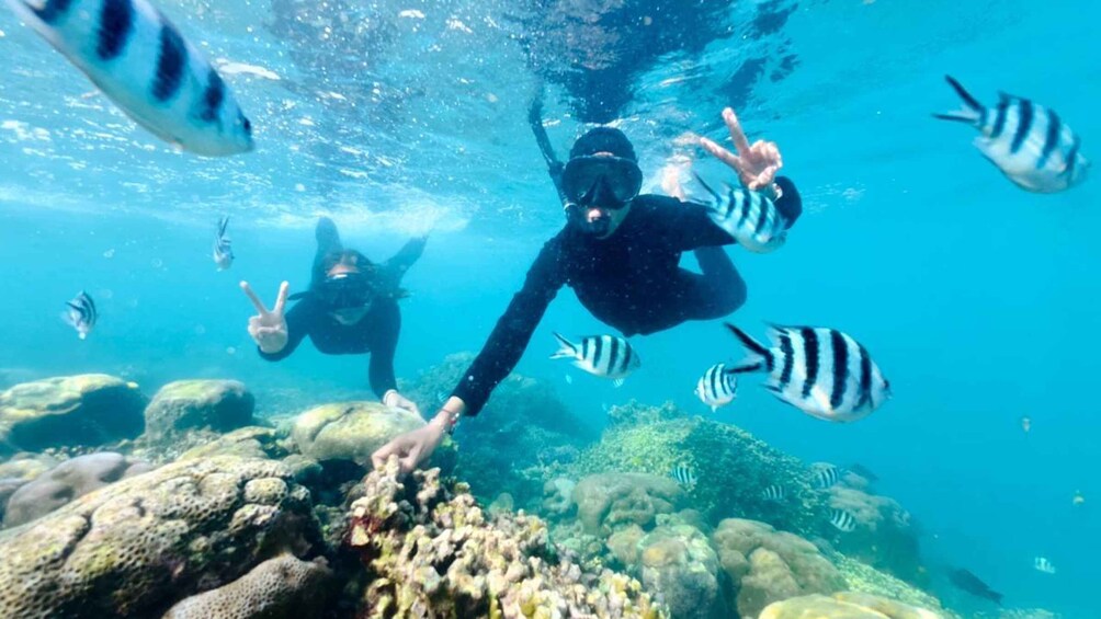 Lombok: Gili Nanggu, Sudak & Kedis Snorkeling Trip 1