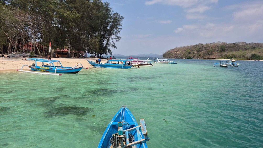 A beach with several boats anchored near the shore, surrounded by trees and a clear blue sea. 5