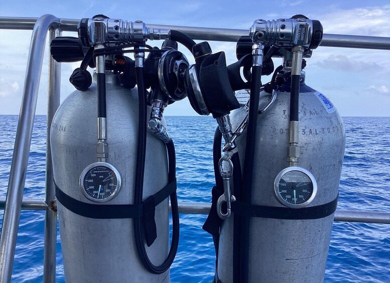 Picture 36 for Activity Koh Tao: Premium 3-Dive Catamaran Experience with MV Chaba 3