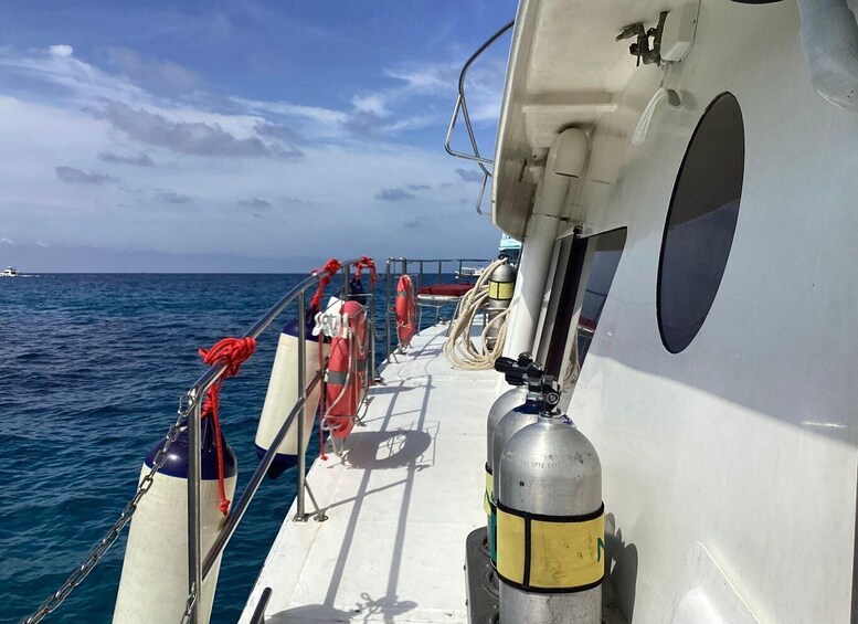 Picture 32 for Activity Koh Tao: Premium 3-Dive Catamaran Experience with MV Chaba 4