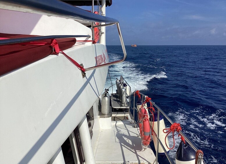 Picture 40 for Activity Koh Tao: Premium 3-Dive Catamaran Experience with MV Chaba 5