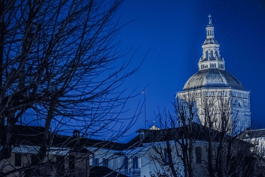 A night view of a domed building with a spire, surrounded by leafless trees and residential buildings. 3