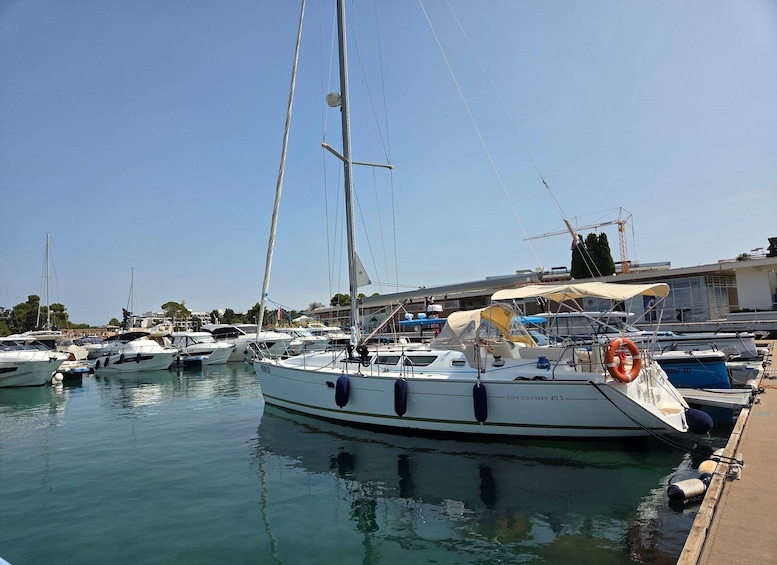 A marina with multiple sailboats docked, a clear blue sky, and buildings in the background. 4