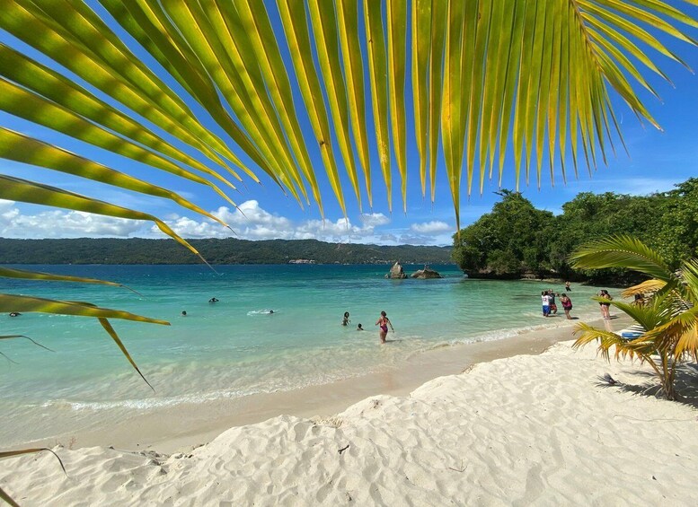 A beach with clear turquoise water, people swimming, and palm trees. 3
