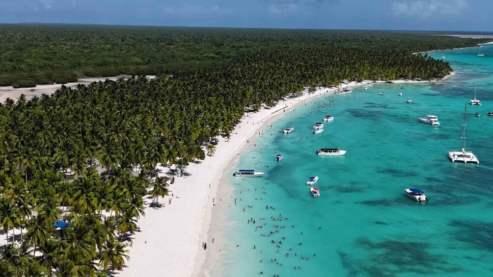 A beach with dense palm trees, clear turquoise waters, and several boats anchored near the shore. 2