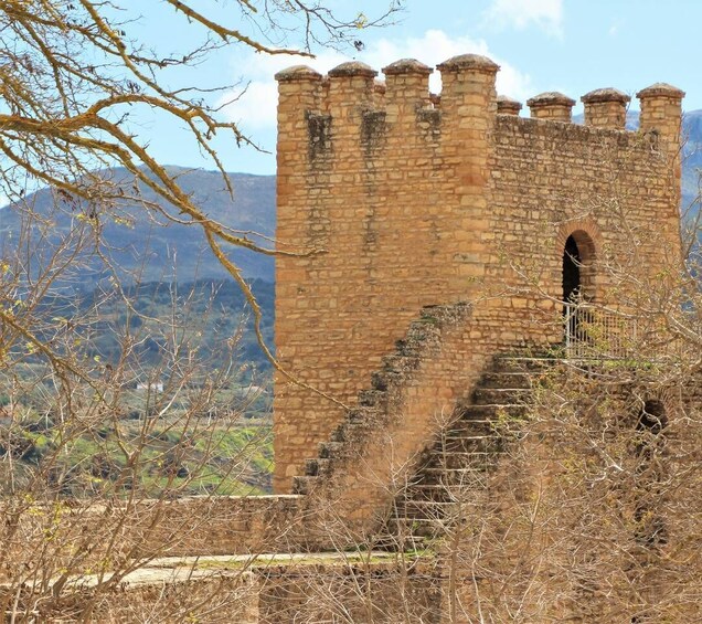 A historic stone tower with crenellations, surrounded by dry vegetation and mountains in the background. 2