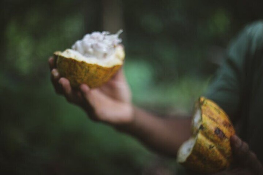 A person holding a half-eaten banana with a creamy topping. 5