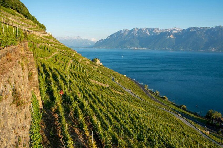 Lavaux UNESCO Vineyards and Tasting Private van from Montreux 1