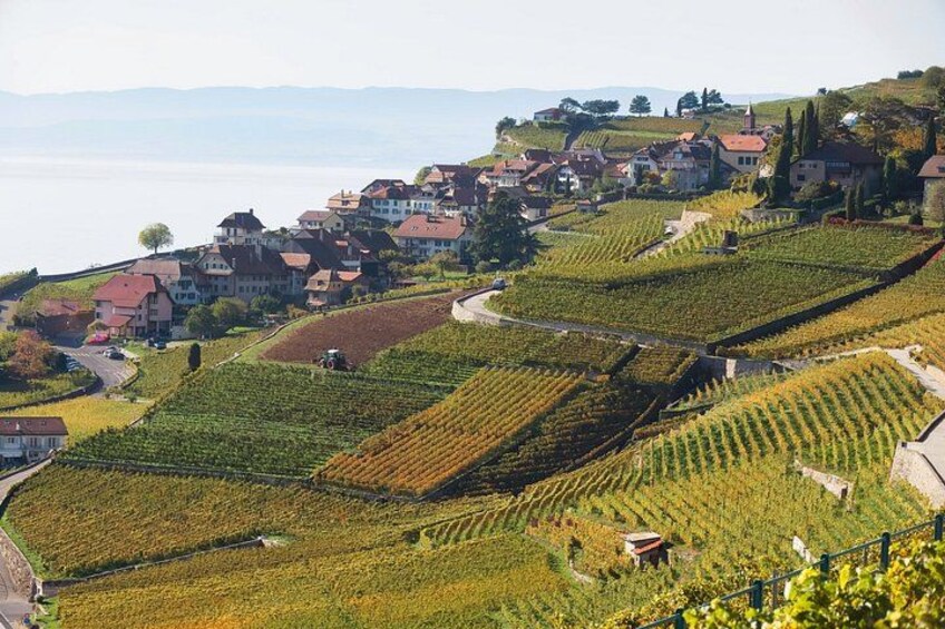 Lavaux UNESCO Vineyards and Tasting Private van from Montreux 2