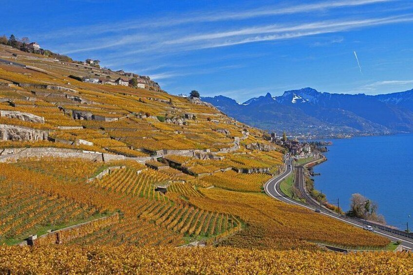 Lavaux UNESCO Vineyards and Tasting Private van from Montreux 2