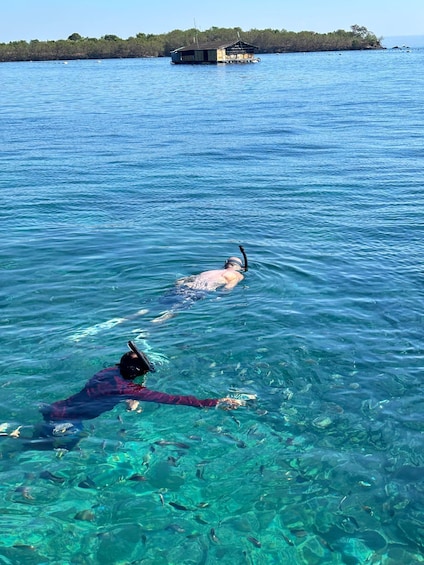 Picture 8 for Activity Lombok: Private Pink Beach and Gili Islands Boat Tour 4