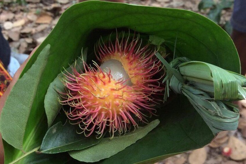 A rambutan fruit with a spiky pink and yellow exterior, held in a green leaf. 5