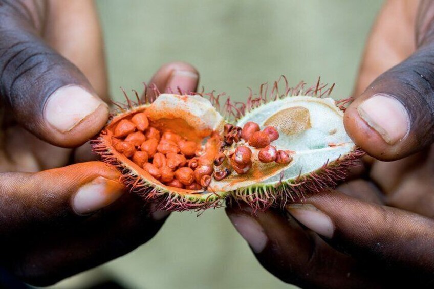 A person holding a spiny fruit with seeds. 2