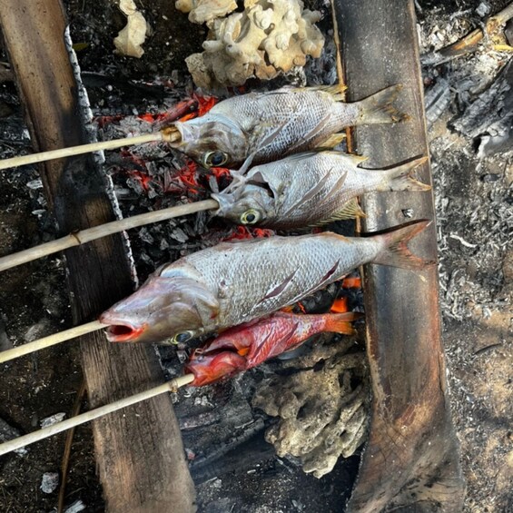 Two fish on skewers over an open flame. 4