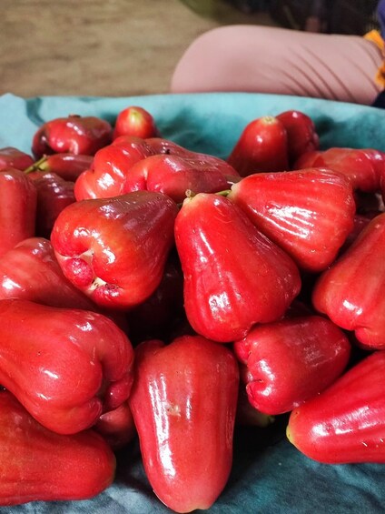 A pile of red bell peppers. 5