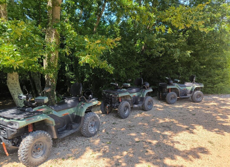 Picture 18 for Activity Rovinj: Guided Quad Bike Tour with Scenic Views Lim Fjord 3