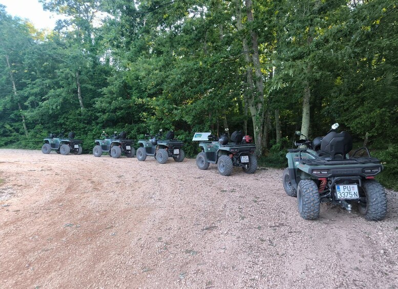Picture 14 for Activity Rovinj: Guided Quad Bike Tour with Scenic Views Lim Fjord 5