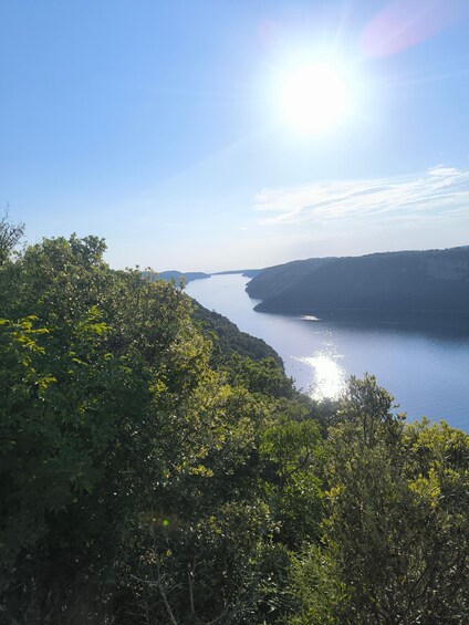 Picture 16 for Activity Rovinj: Guided Quad Bike Tour with Scenic Views Lim Fjord 2