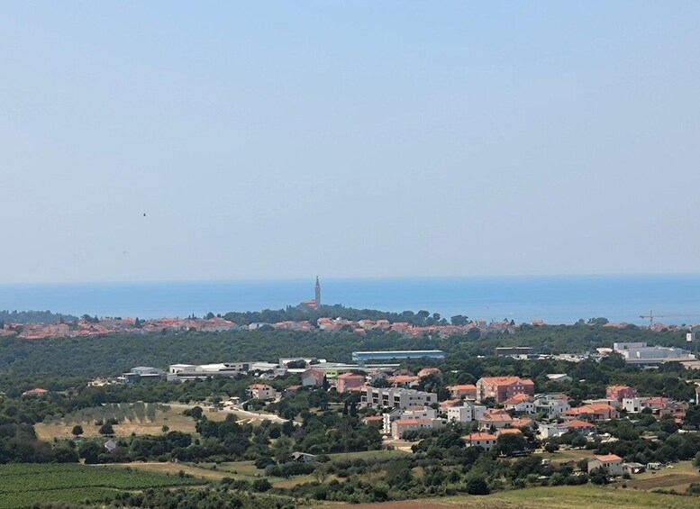 Picture 17 for Activity Rovinj: Guided Quad Bike Tour with Scenic Views Lim Fjord 4