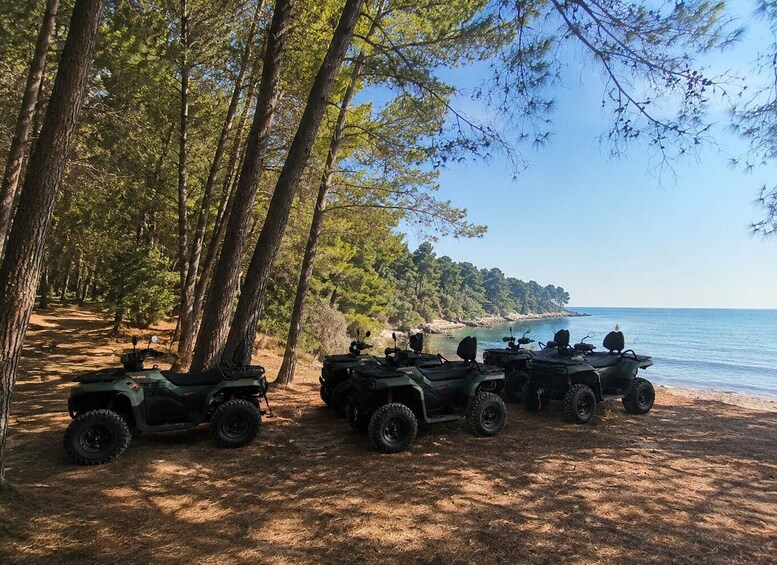 Four off-road vehicles parked on a dirt path by a beach with a forest in the background. 2