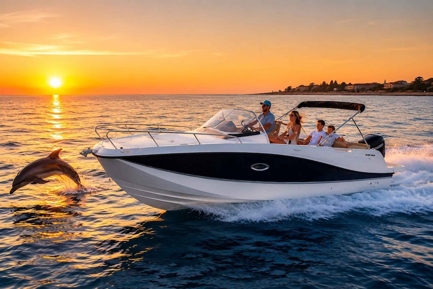 A boat with passengers and a dolphin jumping near it during sunset. 1