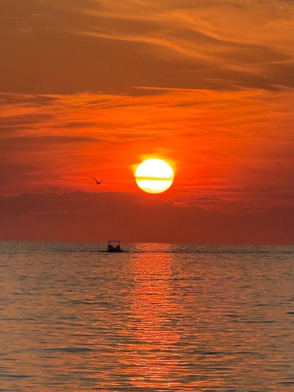 Picture 6 for Activity Poreč: Sunset Cruise with Dolphin Watching experience 2