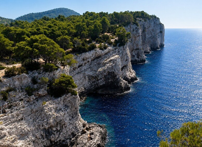 A coastal cliff with dense green vegetation and a clear blue sea. 4
