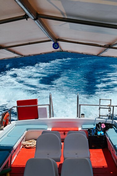 Picture 12 for Activity From Panermos to the Cave of Rina by traditional boat - Naxos, Cyclades 5