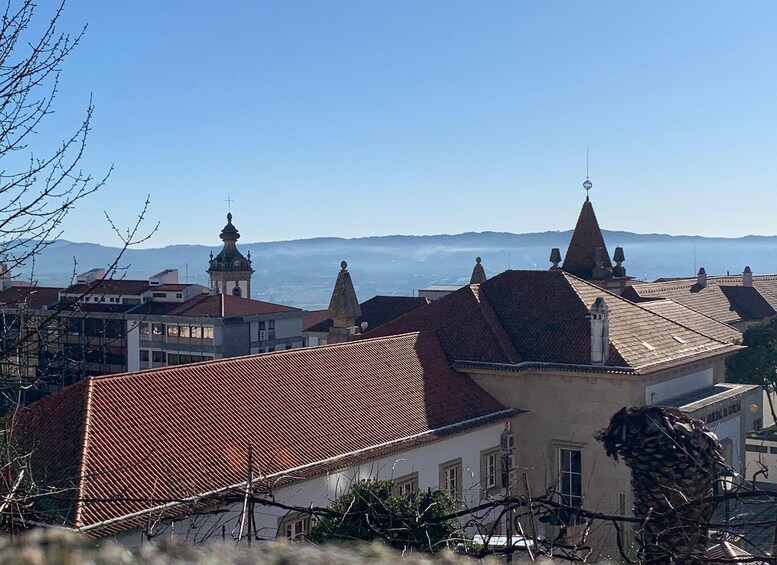 A town with red-roofed buildings, a church tower, and a mountain range in the distance. 2