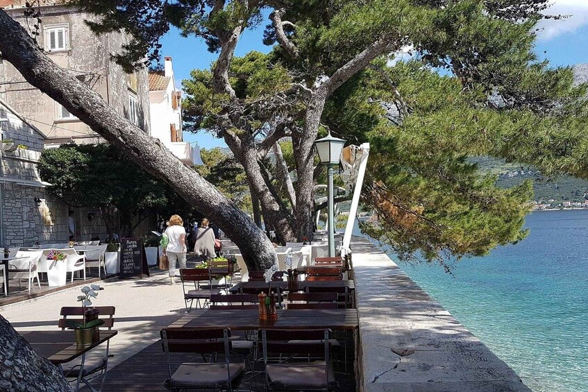 A seaside café with outdoor seating, a large tree, and a view of the water. 2