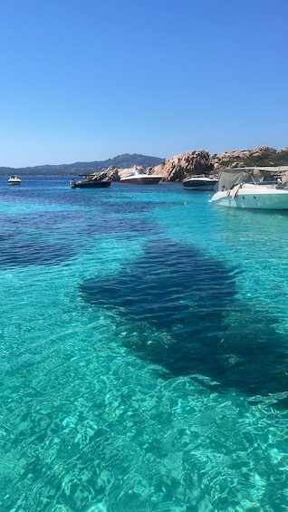Picture 16 for Activity From Portisco: Costa Smeralda Tour by Inflatable Boat with Skipper 3