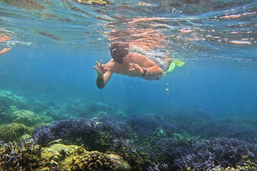 A person snorkeling underwater with a coral reef in the background. 4